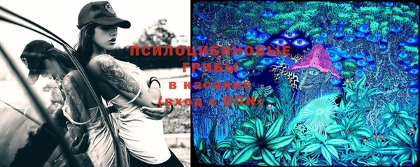МДПВ Зеленодольск