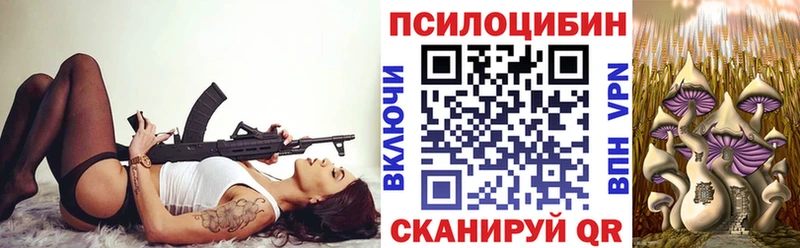 Псилоцибиновые грибы прущие грибы  Купить закладки  Кингисепп 